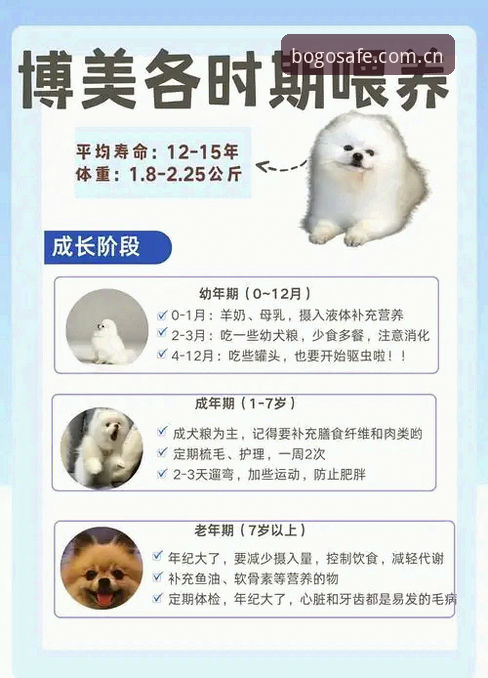 博狗最新版本 如何下载安装博狗最新版本?老用户手把手教学